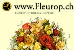 Direktlink zu Blumen Epp GmbH